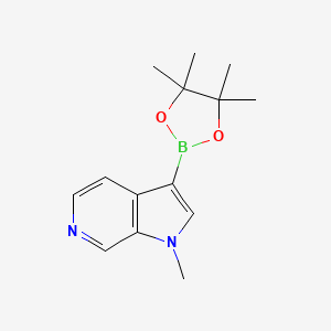 B1431109 1-methyl-3-(tetramethyl-1,3,2-dioxaborolan-2-yl)-1H-pyrrolo[2,3-c]pyridine CAS No. 1501153-45-2