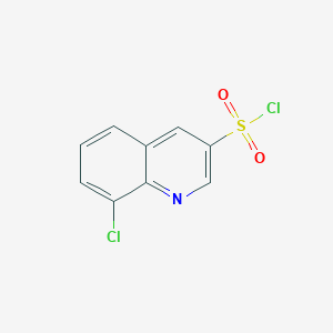 B1431113 8-Chloroquinoline-3-sulfonyl chloride CAS No. 847727-25-7