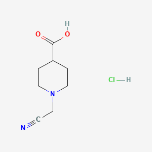 molecular formula C8H13ClN2O2 B1431136 1-(氰基甲基)哌啶-4-羧酸盐酸盐 CAS No. 1426290-75-6