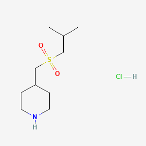 molecular formula C10H22ClNO2S B1431161 4-[(2-甲基丙烷磺酰)甲基]哌啶盐酸盐 CAS No. 1864053-72-4