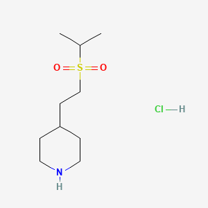 B1431183 4-[2-(Propane-2-sulfonyl)ethyl]piperidine hydrochloride CAS No. 1864062-06-5