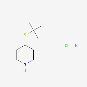 B1431187 4-(Tert-butylsulfanyl)piperidine hydrochloride CAS No. 1864063-52-4