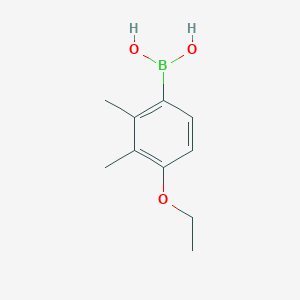 B1431470 4-Ethoxy-2,3-dimethylphenylboronic acid CAS No. 1451391-67-5