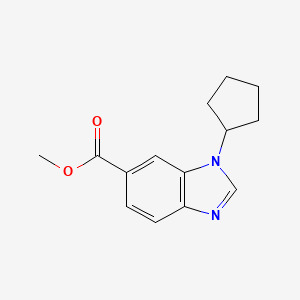 molecular formula C14H16N2O2 B1431546 Methyl 3-cyclopentylbenzimidazole-5-carboxylate CAS No. 1355248-15-5
