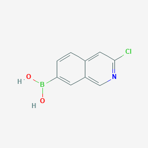 molecular formula C9H7BClNO2 B1431592 (3-Chloroisoquinolin-7-yl)boronic acid CAS No. 2096331-38-1