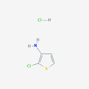 molecular formula C4H5Cl2NS B1431935 2-Chlorothiophen-3-amine hydrochloride CAS No. 64590-96-1