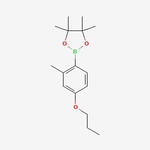 molecular formula C16H25BO3 B1432030 4-Propoxy-2-methylphenylboronic acid, pinacol ester CAS No. 1688702-80-8