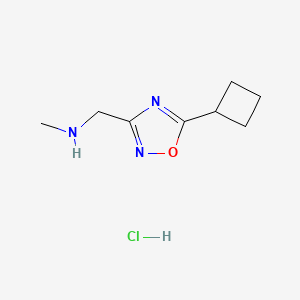 molecular formula C8H14ClN3O B1432041 [(5-Cyclobutyl-1,2,4-oxadiazol-3-yl)methyl]methylamine hydrochloride CAS No. 1609401-27-5