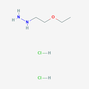 molecular formula C4H14Cl2N2O B1432141 (2-Ethoxyethyl)hydrazine dihydrochloride CAS No. 809282-62-0