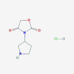molecular formula C7H11ClN2O3 B1432294 3-(Pyrrolidin-3-yl)oxazolidine-2,4-dione hydrochloride CAS No. 1864057-54-4