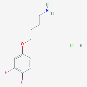 molecular formula C10H14ClF2NO B1432741 4-(3,4-Difluorophenoxy)butan-1-amine hydrochloride CAS No. 1864056-76-7