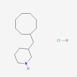 molecular formula C14H28ClN B1432771 3-(Cyclooctylmethyl)piperidine hydrochloride CAS No. 1824049-79-7