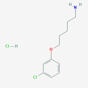 molecular formula C11H17Cl2NO B1432802 5-(3-Chlorophenoxy)pentan-1-amine hydrochloride CAS No. 1864063-66-0