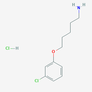 molecular formula C11H17Cl2NO B1432802 5-(3-氯苯氧基)戊-1-胺盐酸盐 CAS No. 1864063-66-0