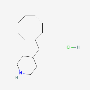 molecular formula C14H28ClN B1432807 4-(Cyclooctylmethyl)piperidine hydrochloride CAS No. 1822674-75-8