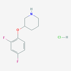 molecular formula C11H14ClF2NO B1432840 3-(2,4-Difluorophenoxy)piperidine hydrochloride CAS No. 1864056-63-2