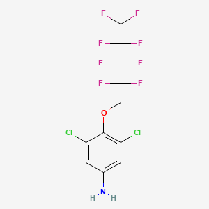 3,5-Dichloro-4-[(2,2,3,3,4,4,5,5-octafluoropentyl)oxy]aniline