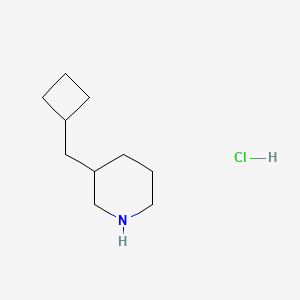 molecular formula C10H20ClN B1432864 3-(Cyclobutylmethyl)piperidine hydrochloride CAS No. 1803606-42-9