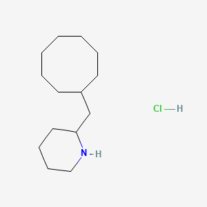 molecular formula C14H28ClN B1432904 2-(Cyclooctylmethyl)piperidine hydrochloride CAS No. 1824062-90-9
