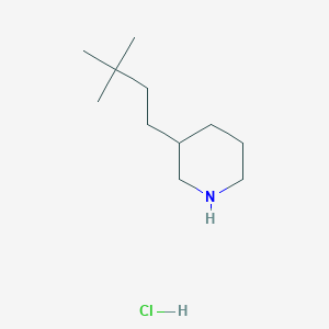 molecular formula C11H24ClN B1432941 盐酸3-(3,3-二甲基丁基)哌啶 CAS No. 1864074-17-8