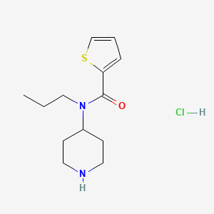 molecular formula C13H21ClN2OS B1433034 N-(piperidin-4-yl)-N-propylthiophene-2-carboxamide hydrochloride CAS No. 1421604-90-1