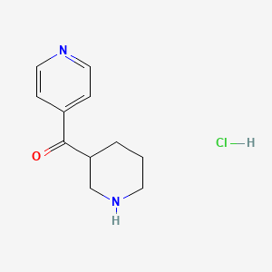 B1433064 Piperidin-3-yl(pyridin-4-yl)methanone hydrochloride CAS No. 1864074-81-6