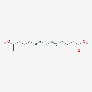 13-Hydroxytetradeca-5,8-dienoic acid