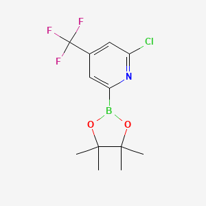 B1433187 2-Chloro-6-(4,4,5,5-tetramethyl-1,3,2-dioxaborolan-2-yl)-4-(trifluoromethyl)pyridine CAS No. 1622217-23-5