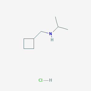 molecular formula C8H18ClN B1433250 (环丁基甲基)(丙-2-基)胺盐酸盐 CAS No. 1803603-80-6