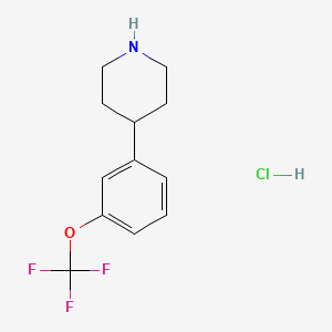 molecular formula C12H15ClF3NO B1433289 4-(3-Trifluoromethoxy-phenyl)-piperidine hydrochloride CAS No. 1965309-79-8