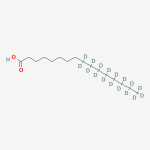 molecular formula C16H32O2 B1433456 9,9,10,10,11,11,12,12,13,13,14,14,15,15,16,16,16-Heptadecadeuteriohexadecanoic acid CAS No. 81462-28-4