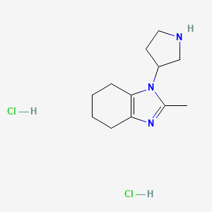 molecular formula C12H21Cl2N3 B1433672 2-methyl-1-(pyrrolidin-3-yl)-4,5,6,7-tetrahydro-1H-1,3-benzodiazole dihydrochloride CAS No. 1798745-74-0