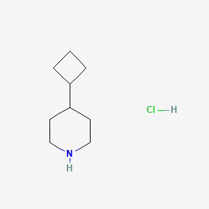 4-Cyclobutylpiperidine hydrochloride