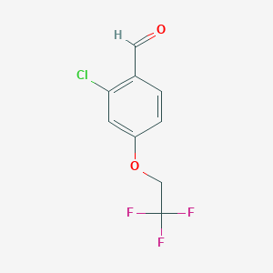 molecular formula C9H6ClF3O2 B1433779 2-Chloro-4-(2,2,2-trifluoroethoxy)benzaldehyde CAS No. 1697375-66-8