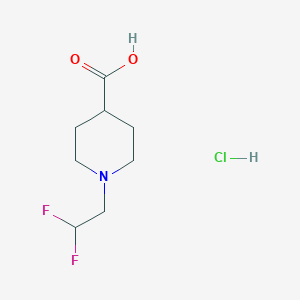 molecular formula C8H14ClF2NO2 B1434030 1-(2,2-二氟乙基)哌啶-4-羧酸盐酸盐 CAS No. 1803571-52-9