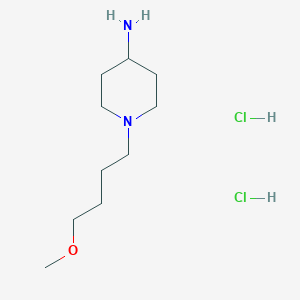 molecular formula C10H24Cl2N2O B1434109 1-(4-甲氧基丁基)哌啶-4-胺二盐酸盐 CAS No. 1803586-10-8