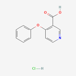 molecular formula C12H10ClNO3 B1434137 4-苯氧基吡啶-3-羧酸盐酸盐 CAS No. 1803601-96-8