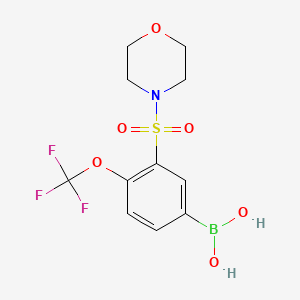 molecular formula C11H13BF3NO6S B1434201 (3-(Morpholinosulfonyl)-4-(trifluoromethoxy)phenyl)boronic acid CAS No. 1704065-47-3