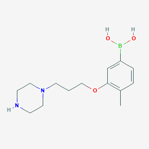 molecular formula C14H23BN2O3 B1434209 4-甲基-3-(3-(哌嗪-1-基)丙氧基)苯硼酸 CAS No. 1704064-32-3