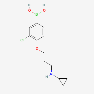 molecular formula C12H17BClNO3 B1434238 (3-Chloro-4-(3-(cyclopropylamino)propoxy)phenyl)boronic acid CAS No. 1704096-89-8