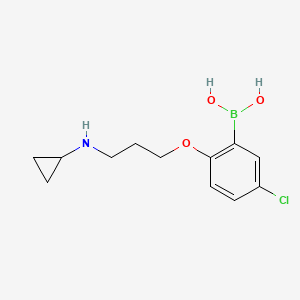 molecular formula C12H17BClNO3 B1434240 5-Chloro-2-(3-(cyclopropylamino)propoxy)phenylboronic acid CAS No. 1704066-74-9