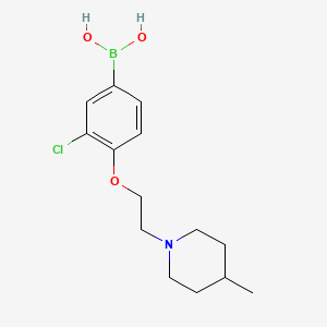 molecular formula C14H21BClNO3 B1434254 (3-Chloro-4-(2-(4-methylpiperidin-1-yl)ethoxy)phenyl)boronic acid CAS No. 1704074-00-9