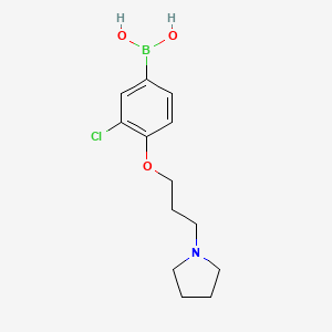 molecular formula C13H19BClNO3 B1434280 (3-Chloro-4-(3-(pyrrolidin-1-yl)propoxy)phenyl)boronic acid CAS No. 1704074-32-7