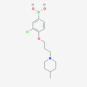 molecular formula C15H23BClNO3 B1434353 (3-Chloro-4-(3-(4-methylpiperidin-1-yl)propoxy)phenyl)boronic acid CAS No. 1704081-78-6