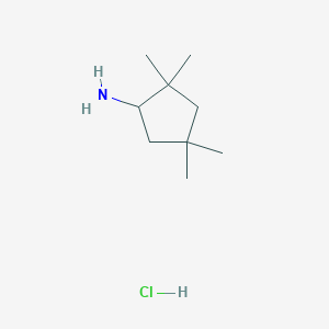 molecular formula C9H20ClN B1434507 2,2,4,4-Tetramethylcyclopentanamine hydrochloride CAS No. 1523618-17-8