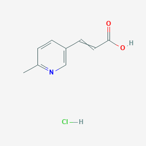 molecular formula C9H10ClNO2 B1434534 3-(6-Methylpyridin-3-yl)prop-2-enoic acid;hydrochloride CAS No. 1432684-09-7