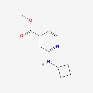 molecular formula C11H14N2O2 B1434777 2-Cyclobutylamino-isonicotinic acid methyl ester CAS No. 1697458-71-1