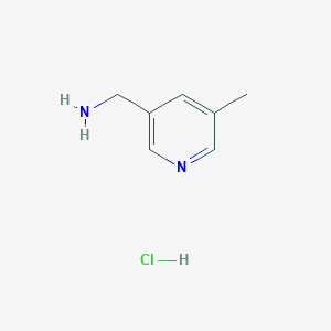 molecular formula C7H11ClN2 B1434884 (5-Methylpyridin-3-yl)methanamine hydrochloride CAS No. 1449122-47-7