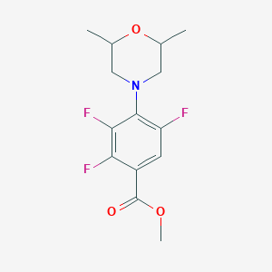 molecular formula C14H16F3NO3 B1434960 Methyl 4-(2,6-dimethylmorpholin-4-yl)-2,3,5-trifluorobenzoate CAS No. 1858251-69-0