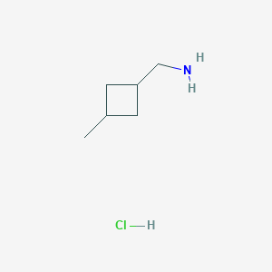 molecular formula C6H14ClN B1434985 (3-甲基环丁基)甲胺盐酸盐 CAS No. 1445951-46-1